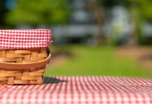Picnic Month: 10 Products that Will Boost Your Outdoor Ambiance celebrate picnic month with these 10 products from amazon