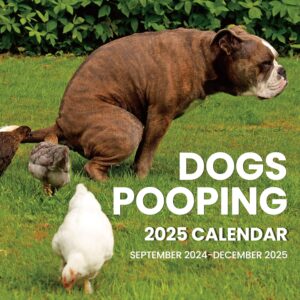 Dogs, 2024 Unique Christmas Gifts for Friends, Teachers, Coworkers, and Gift Exchanges