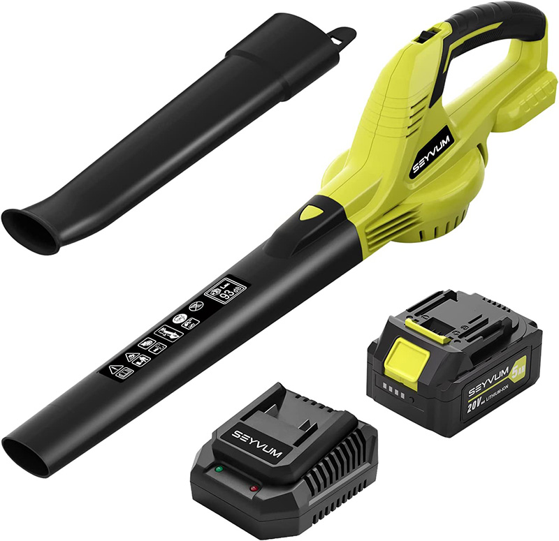 Essentials for Full-Time RV Living: 20V leaf blower